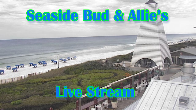 SeaSide Bud and Alleys web cams